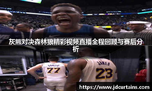 灰熊对决森林狼精彩视频直播全程回顾与赛后分析